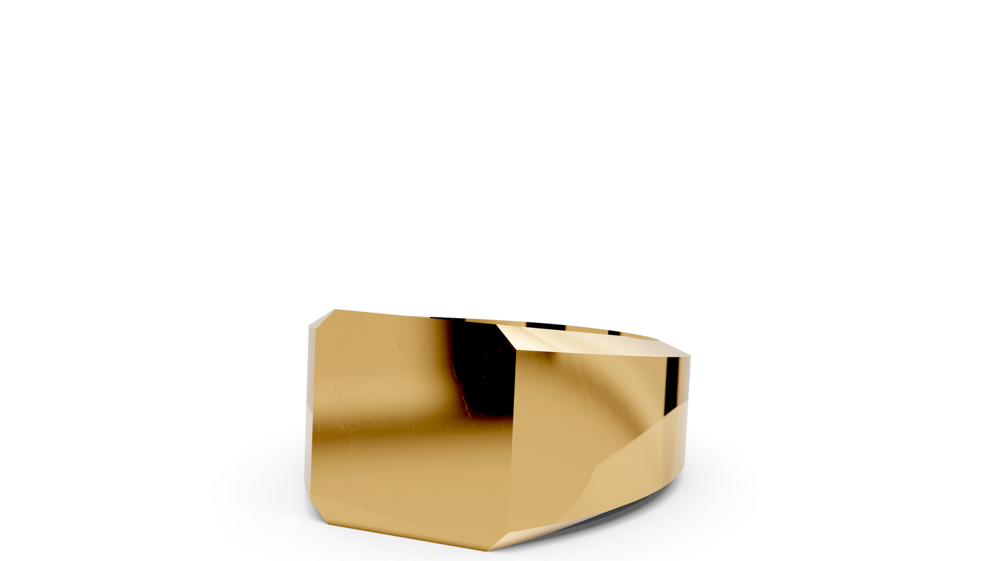 Klassisk Signet Ring 8kantig