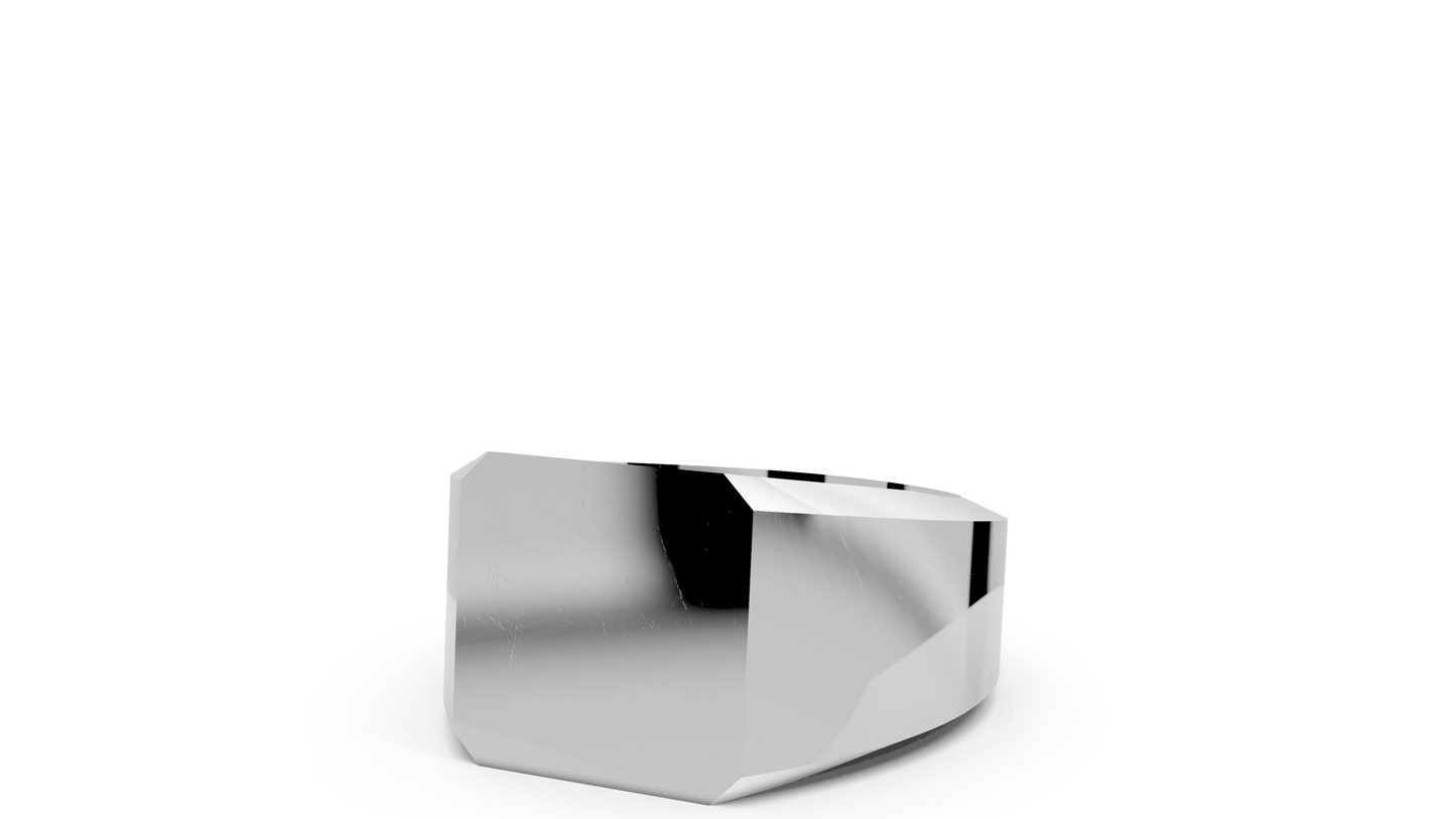 Klassisk Signet Ring 8kantig