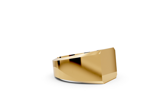 Klassisk Signet Ring 8kantig